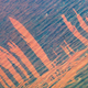 Illustration for article titled Fires Leave Picture-Perfect Scars in the Australian Outback